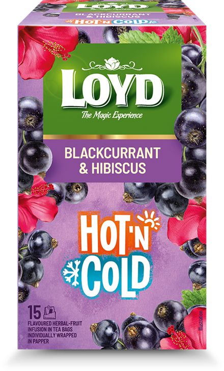 Augļu tējas dzēriens LOYD HOT&COLD upeņu un hibiska garša, 15x2g