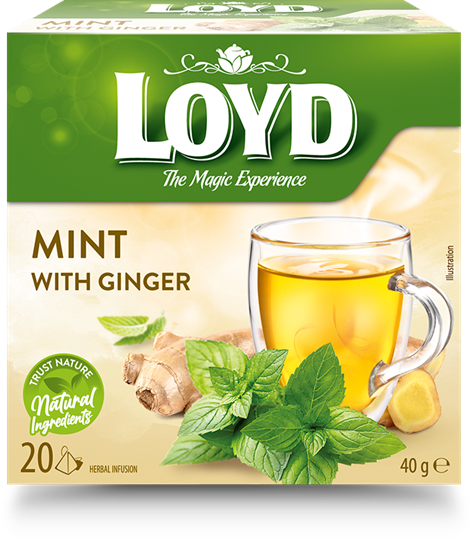 Tēja LOYD, piparmētru un ingvera garša, 20 x 2g