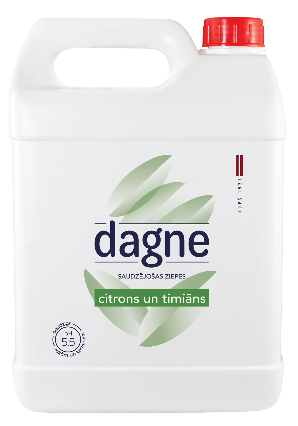 Šķidrās ziepes DAGNE Citrons un timiāns, 5l
