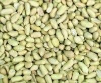 Zemesriekstu pusītes, blanšētas 1kg