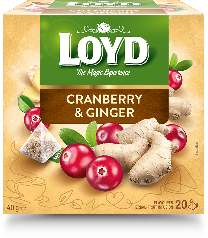 Augļu tēja LOYD Pyramids ar dzērveņu un ingvera garšu, 20x2 g